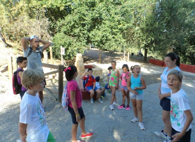  children having fun in a camp summer 